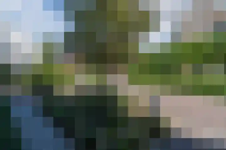Eiland 15 Maassluis thumbnail 9