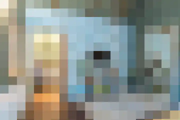 Eiland 30 Stevensweert thumbnail 27