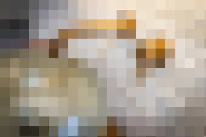 Eiland 30 Stevensweert thumbnail 35