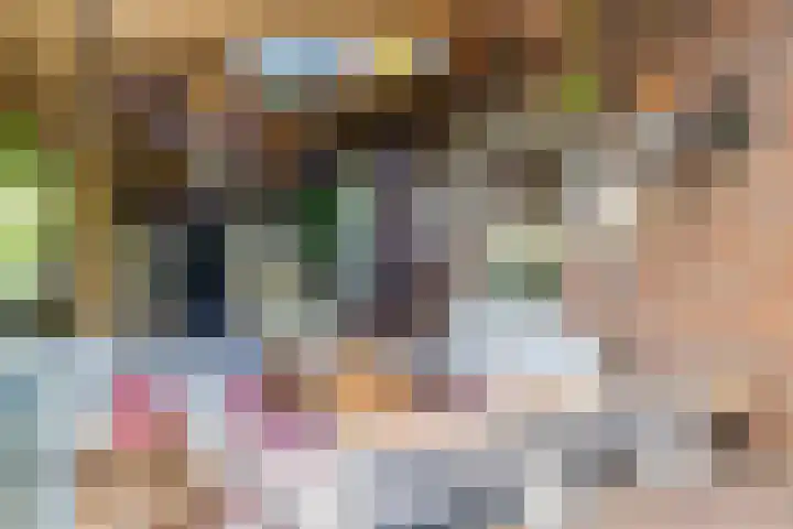 Eiland 30 Stevensweert thumbnail 39