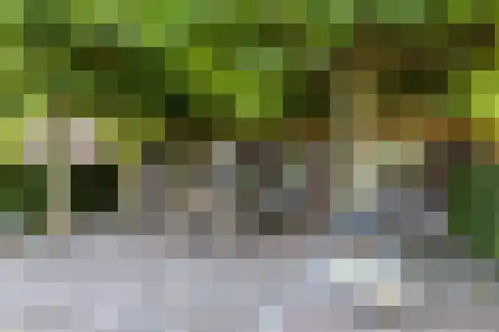 Eiland 30 Stevensweert thumbnail 42