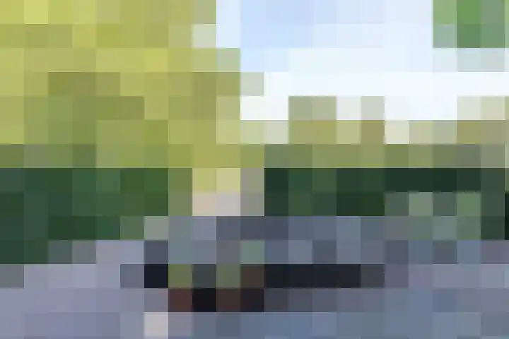 Eiland 30 Stevensweert thumbnail 44