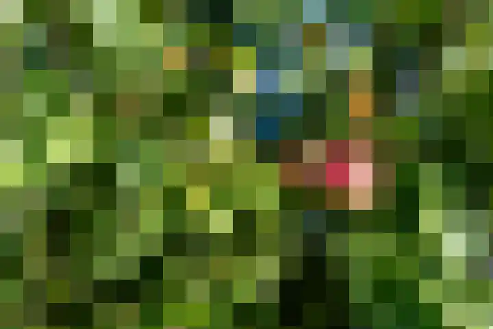Eiland 30 Stevensweert thumbnail 51