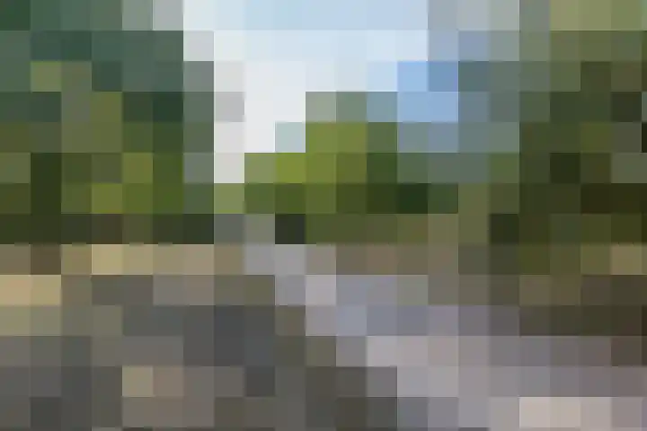 Eiland 30 Stevensweert thumbnail 52