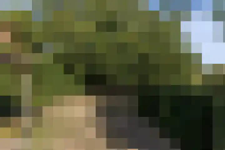 Eiland 30 Stevensweert thumbnail 57