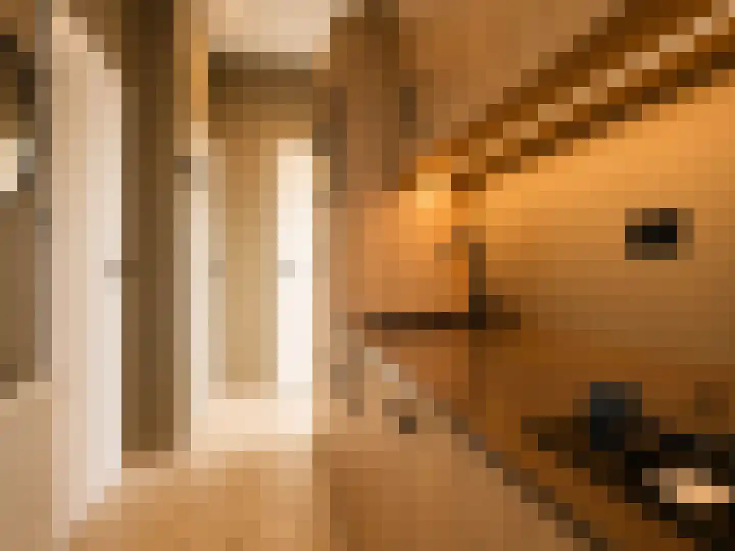Eiland 4 Sint Kruis thumbnail 11