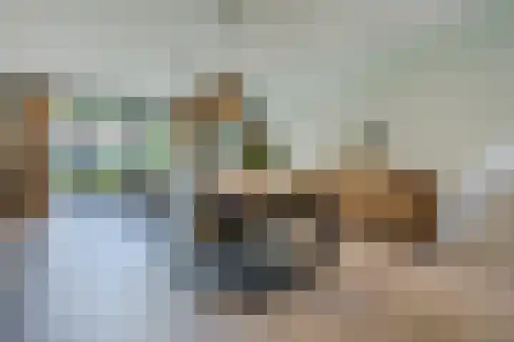 Eiland 5 Huijbergen thumbnail 11