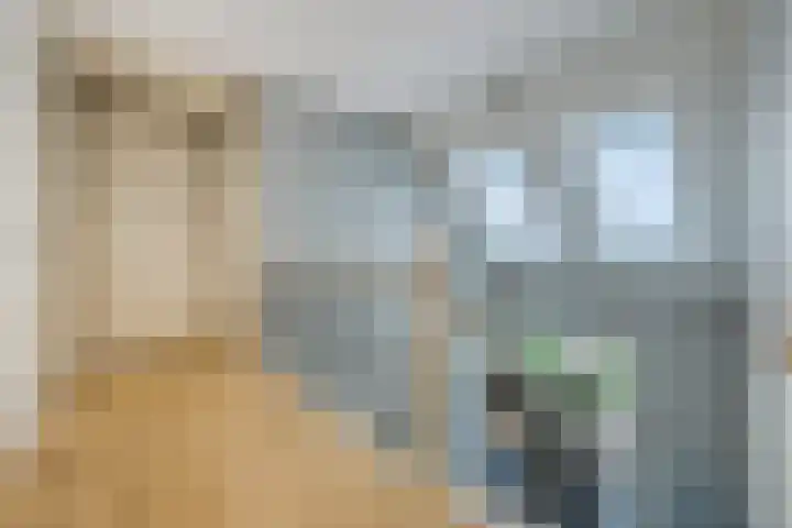 Eiland 5 Huijbergen thumbnail 18