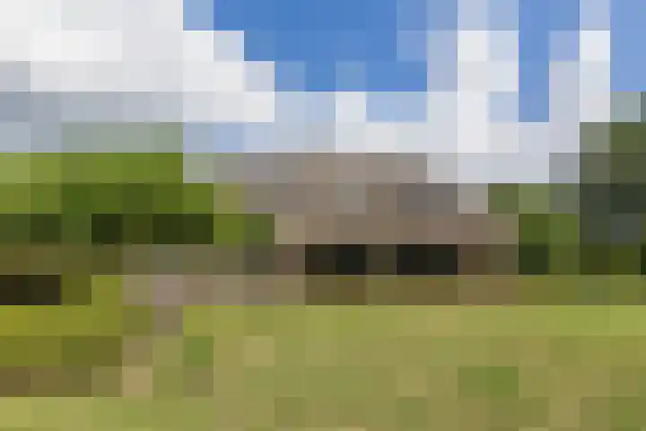 Eiland 5 Huijbergen thumbnail 29