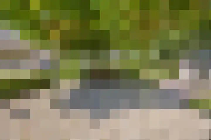 Eiland 5 Huijbergen thumbnail 32