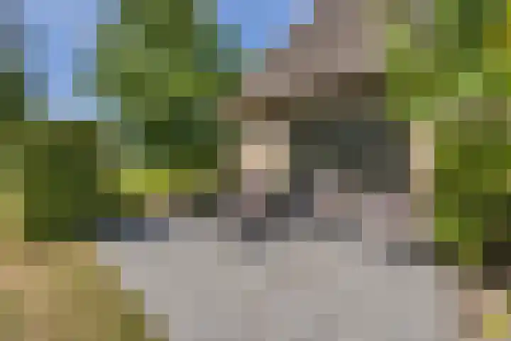 Eiland 5 Huijbergen thumbnail 34