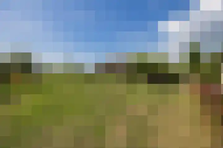 Eiland 5 Huijbergen thumbnail 35