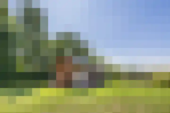 Eiland 5 Huijbergen thumbnail 36