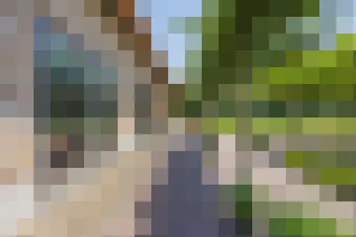 Eiland 5 Huijbergen thumbnail 38