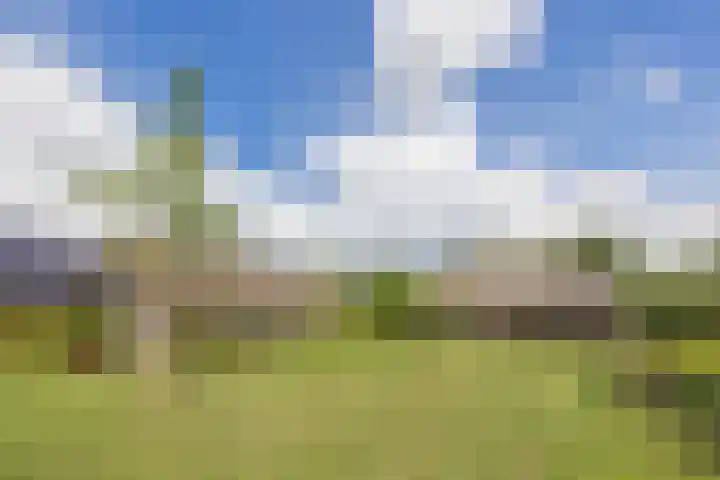 Eiland 5 Huijbergen thumbnail 4