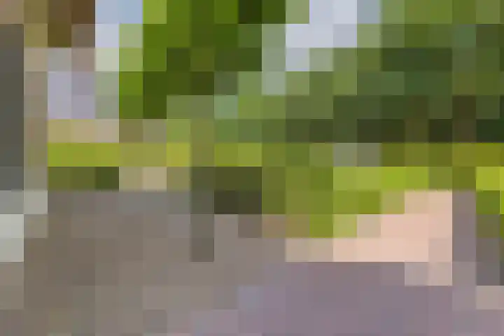 Eiland 5 Huijbergen thumbnail 41