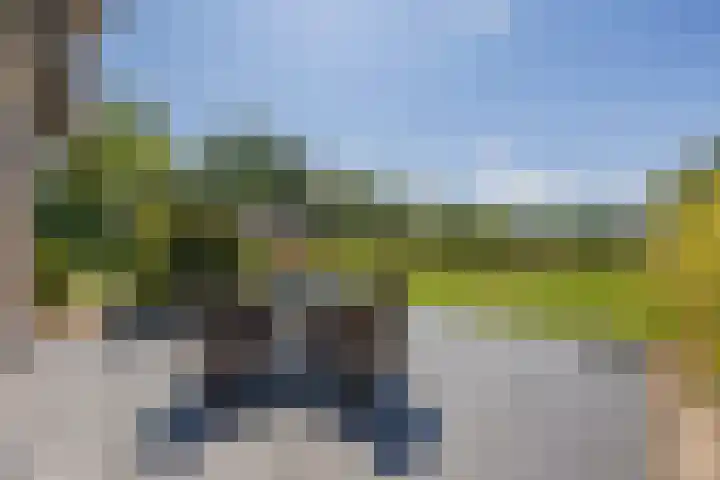Eiland 5 Huijbergen thumbnail 51