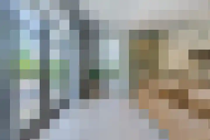 Eiland 5 Huijbergen thumbnail 9