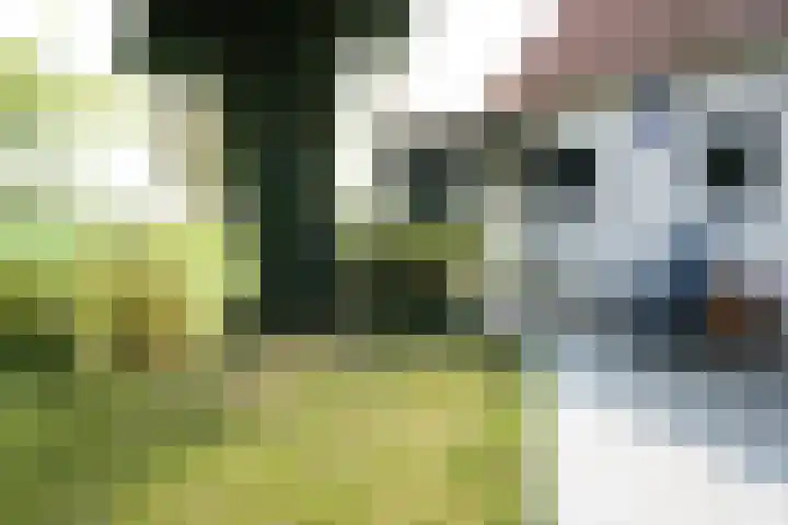 Eiland 7 Sint Kruis thumbnail 27