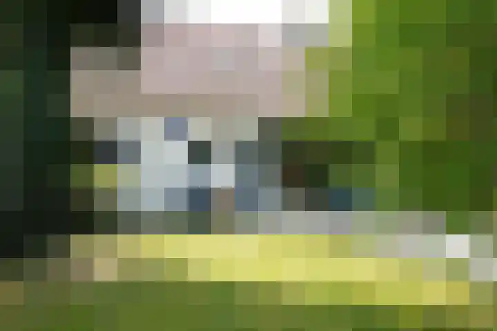 Eiland 7 Sint Kruis thumbnail 28