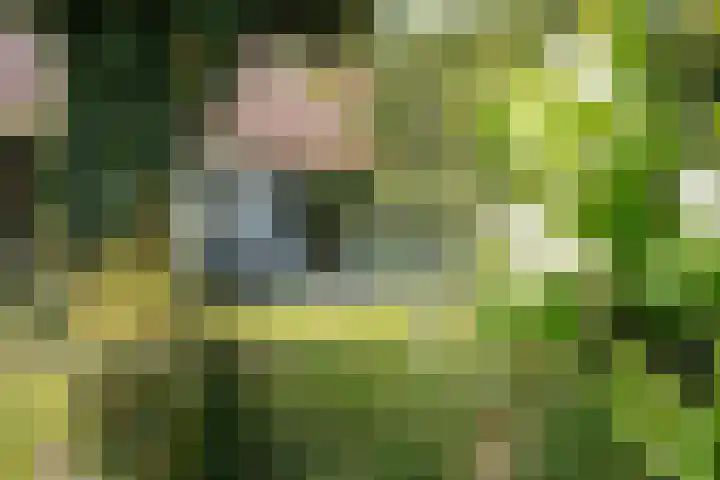 Eiland 7 Sint Kruis thumbnail 29