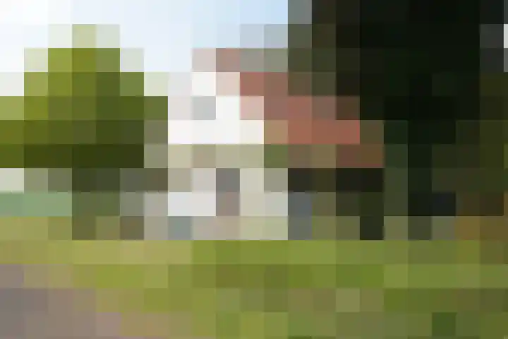 Eiland 7 Sint Kruis thumbnail 31