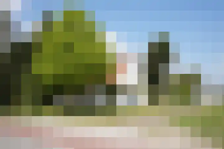 Eiland 7 Sint Kruis thumbnail 33