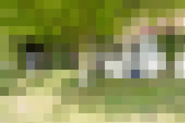 Eiland 7 Sint Kruis thumbnail 34
