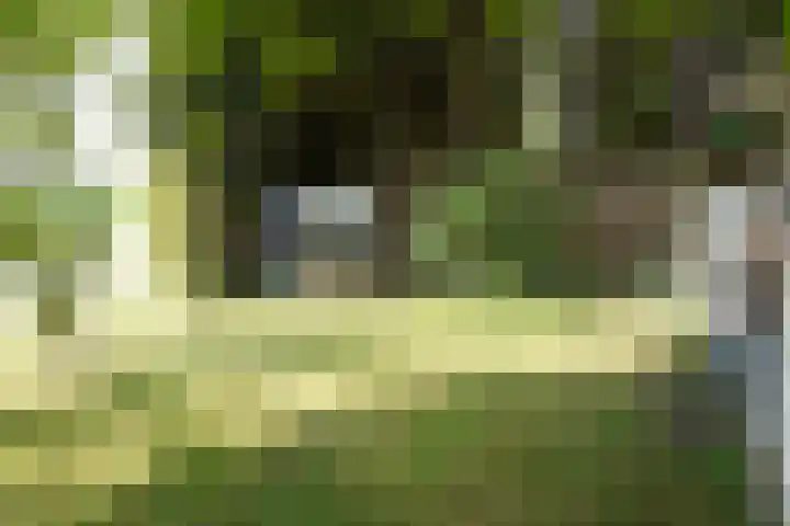 Eiland 7 Sint Kruis thumbnail 35