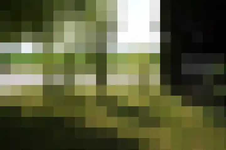 Eiland 7 Sint Kruis thumbnail 37