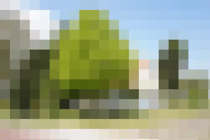 Eiland 7 Sint Kruis thumbnail 38