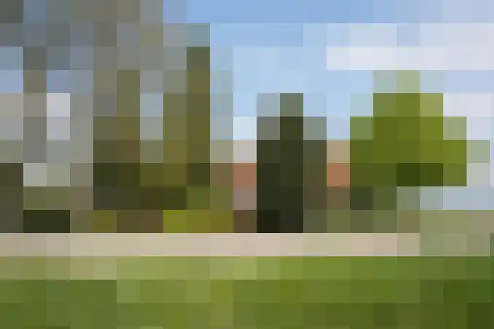 Eiland 7 Sint Kruis thumbnail 39