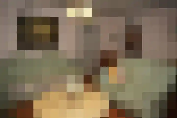 Eiland 7 Sint Kruis thumbnail 4