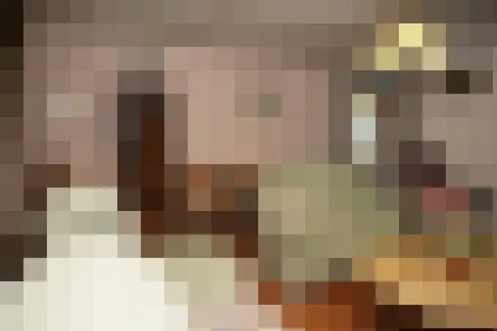 Eiland 7 Sint Kruis thumbnail 5