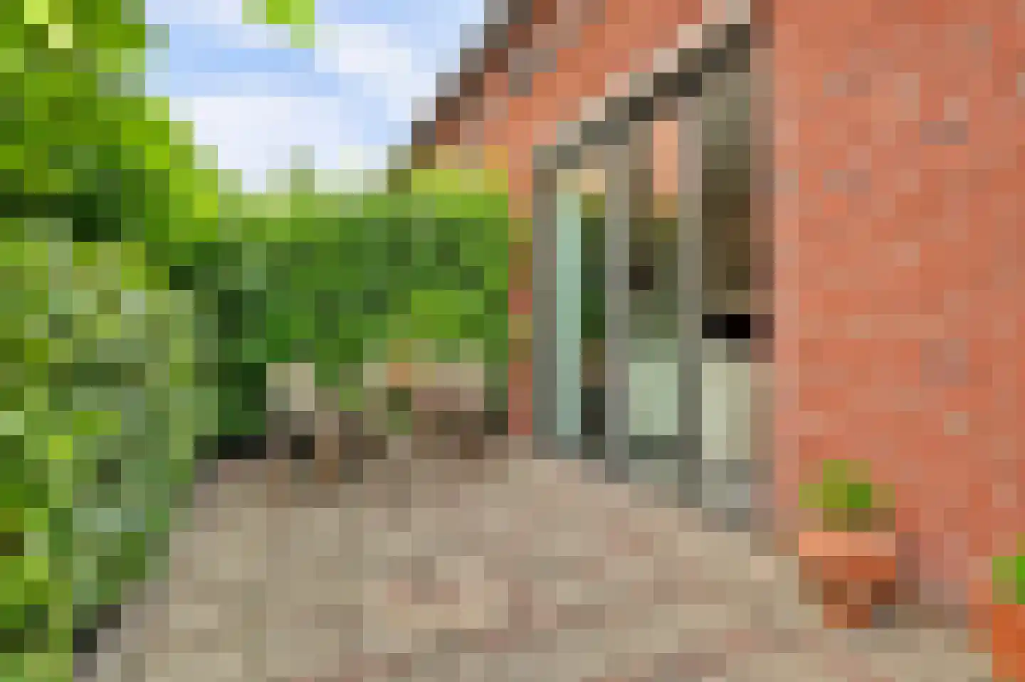 Eiland van Maui 11 Heerhugowaard thumbnail 29