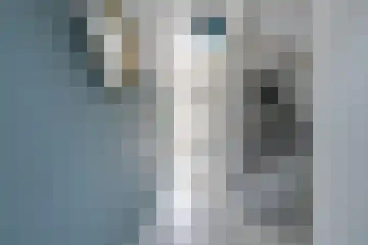 Eiland van Maui 2 Heerhugowaard thumbnail 4