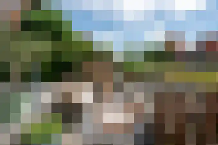 Eiland van Maui 2 Heerhugowaard thumbnail 43