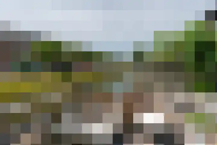 Eiland van Maui 2 Heerhugowaard thumbnail 47