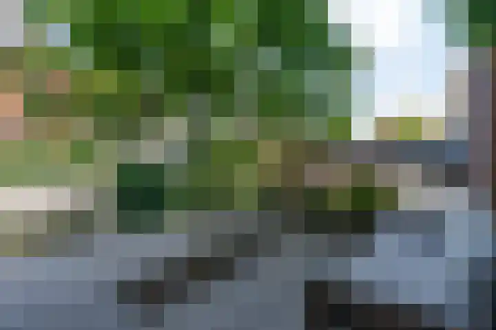 Eiland van Maui 2 Heerhugowaard thumbnail 53