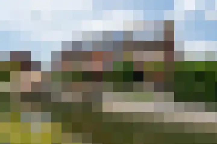 Eiland van Maui 2 Heerhugowaard thumbnail 55