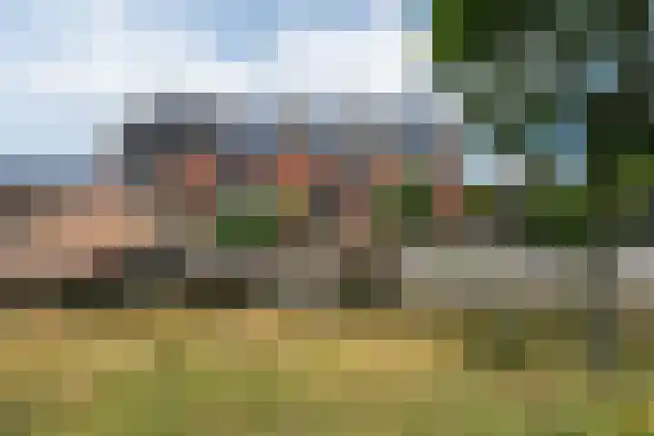 Eiland van Maui 2 Heerhugowaard thumbnail 58