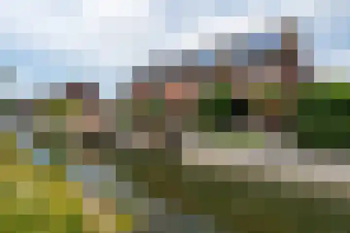 Eiland van Maui 2 Heerhugowaard thumbnail 60
