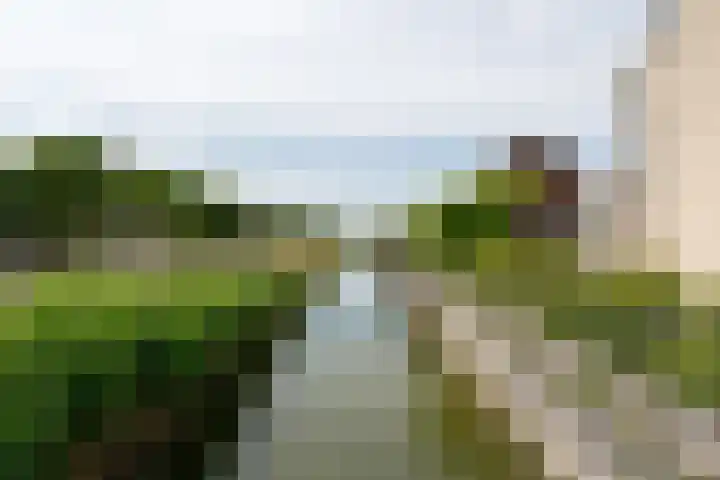 Eiland van Maui 2 Heerhugowaard thumbnail 61