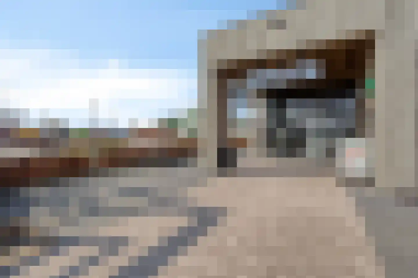 Eiland van Maurik 7 K123 Maurik thumbnail 29