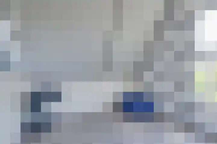 Eiland van Surya 5 Heerhugowaard thumbnail 40