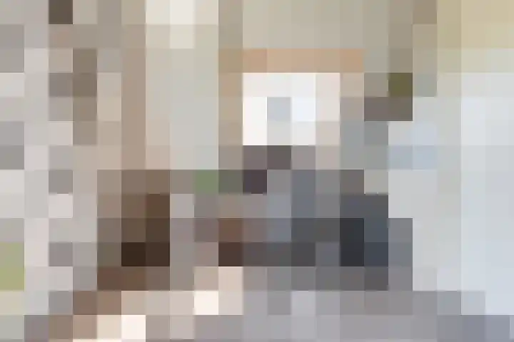 Eiland van Surya 5 Heerhugowaard thumbnail 41