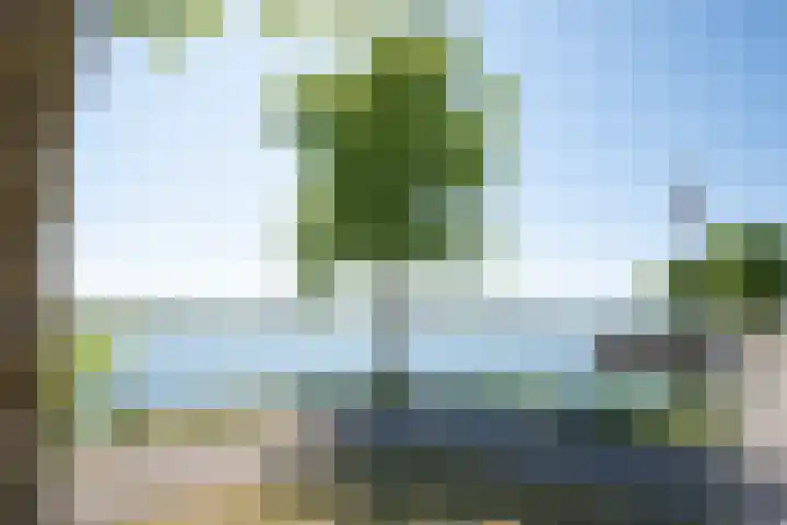 Eiland van Surya 5 Heerhugowaard thumbnail 47