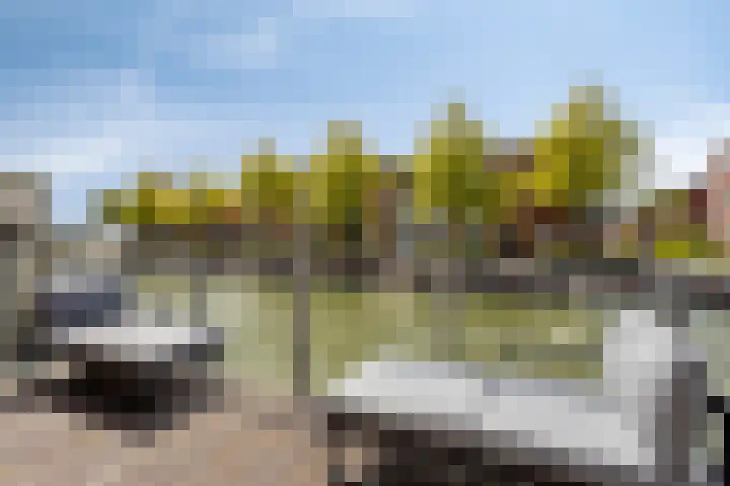 Eiland van Surya 6 Heerhugowaard thumbnail 17