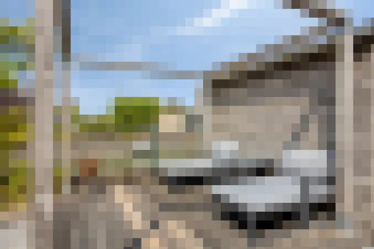 Eiland van Surya 6 Heerhugowaard thumbnail 30