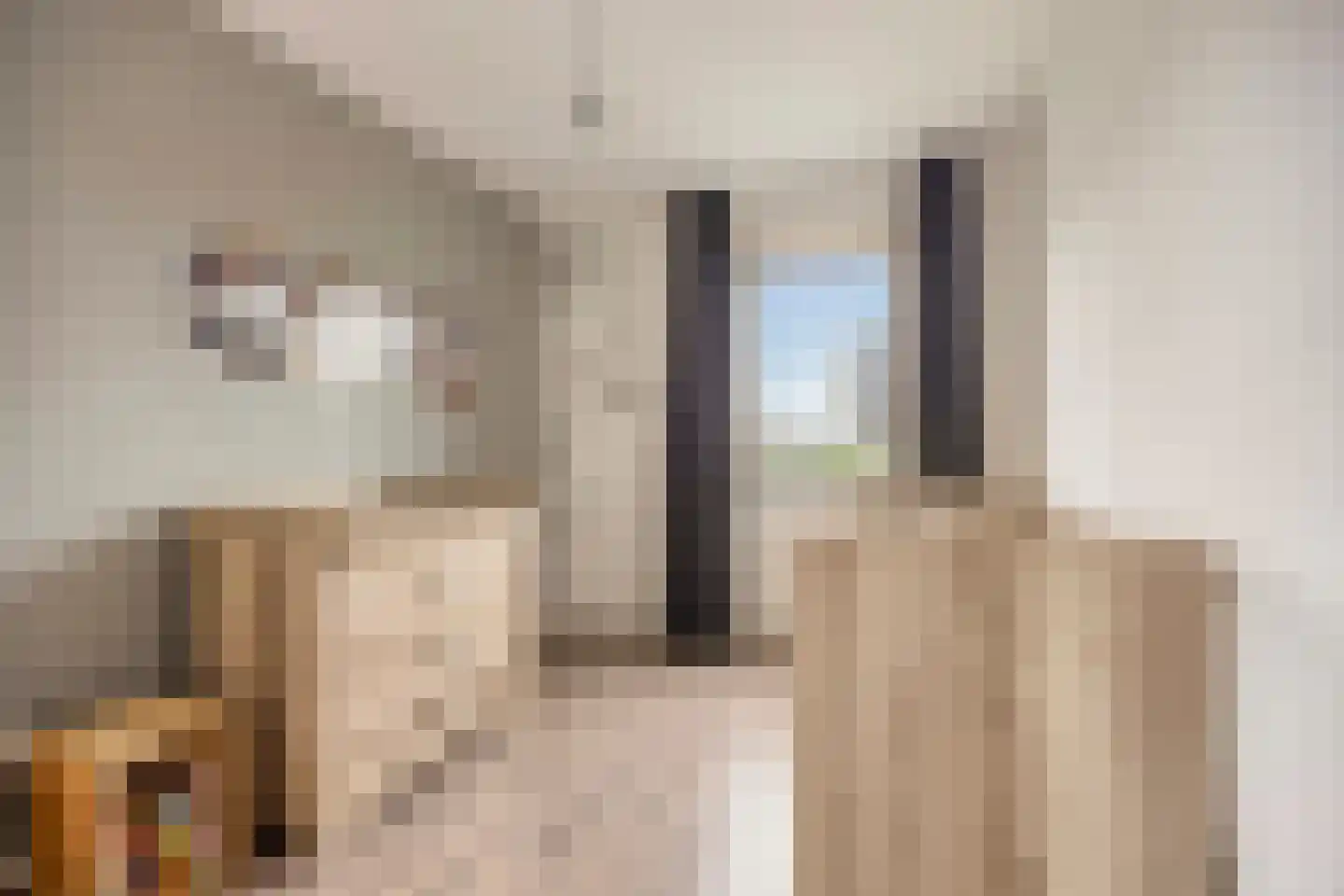Eiland van Surya 6 Heerhugowaard thumbnail 38